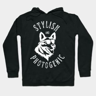 Stylish and Photogenic Hoodie